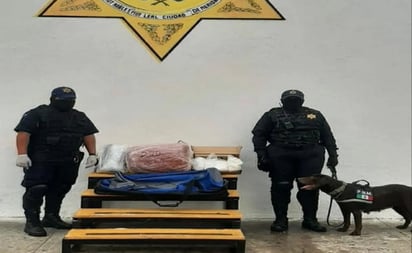 Aseguran más de 8 kilos de droga en terminal de autobuses de Mérida