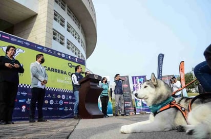 P-Run, la carrera donde podrás participar con tu perro en Querétaro