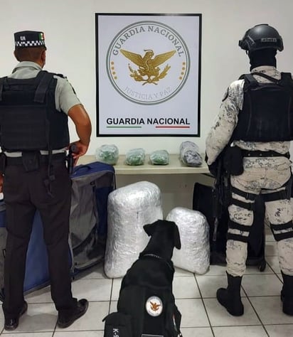 GN detecta droga a través de paquetería y mensajería