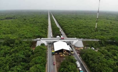 Piden que Tren Maya pase por puerto Progreso y Umán