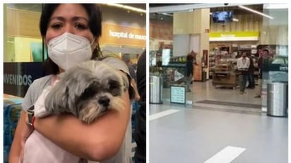 Denuncia que a su perrita le cortaron el ojo en Petco