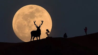 ¿Cuándo es la Superluna del Ciervo, a qué hora es y por qué se llama así?