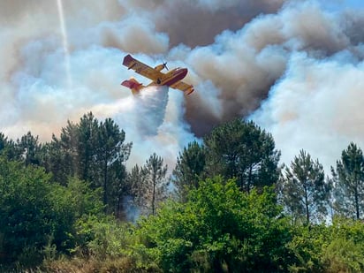 Ola de calor en Europa ha ocasionado muertes e incendios