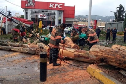 Muere hombre en su auto al caerle un árbol en Ecatepec