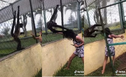 Joven manotea a mono enjaulado y este la estira del cabello