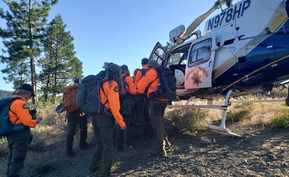 Perro rescata a su dueño tras caer 20 metros en bosque de EU