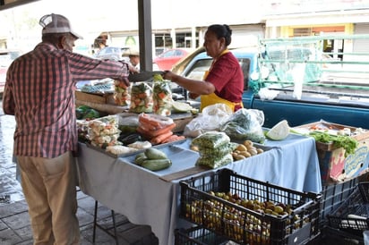 El Campo de la Región Centro  ‘muere’ por sequía extrema