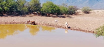 Autoridades concluyen desasolve en 'hagamos campo'