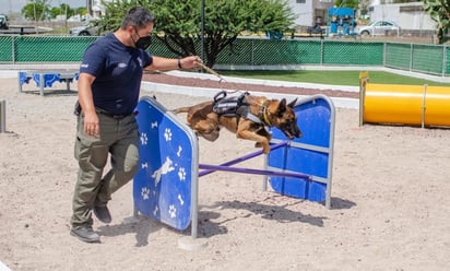 La capital de Querétaro tendrá nuevo parque para perros