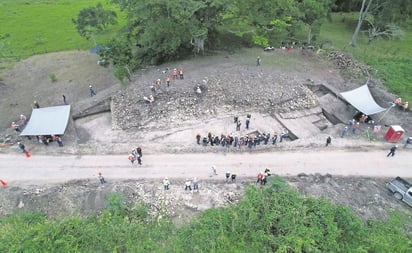 Exige PAN en el Senado detener destrucción ambiental del Tren Maya