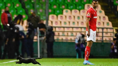 El protagonista inesperado durante el choque entre León y Toluca