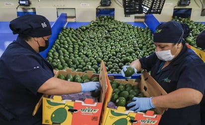 Ken Salazar celebra inicio de exportación de aguacate de Jalisco