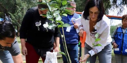 Lía Limón encabeza jornada de reforestación en Álvaro Obregón