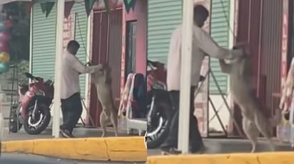 'La mejor pareja': señor se viraliza en TikTok por bailar cumbias junto a su perrito en el Edomex