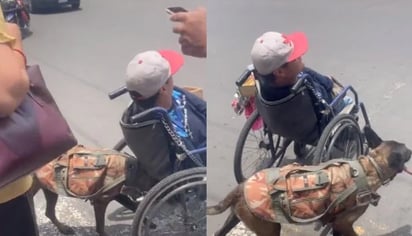 VIDEO: Perro ayuda a su dueño en silla de ruedas a cruzar la calle