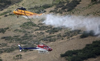 Hombre intenta matar una araña y termina causando un incendio forestal