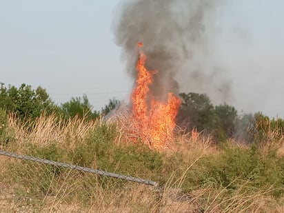 Incendio a espaldas de Denso causa alarma 