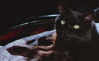 ¡Estos son los gatos más perturbadores del cine!