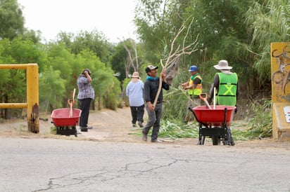 El Municipio lleva el programa  'Patio limpio' a la colonia 7 casas