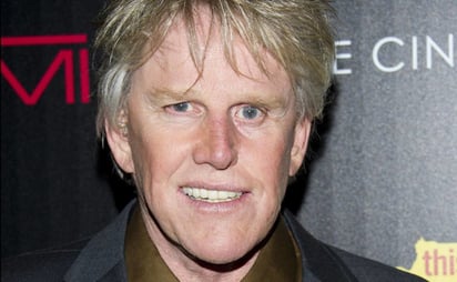 Acusan al actor Gary Busey de acoso sexual