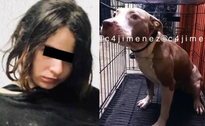 Pitbull de joven que mató a su madre y su tío, podrá ser adoptada