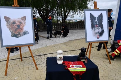 10 años de cárcel para quien causó la muerte de Athos y Tango en Querétaro