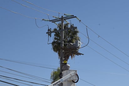 CNDH emite recomendación a CFE tras fallecimiento de persona electrocutada