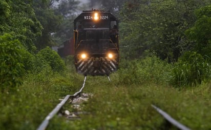 Buscan expropiar 190 hectáreas para el Tren Maya; se trata de terrenos en Solidaridad y Tulum