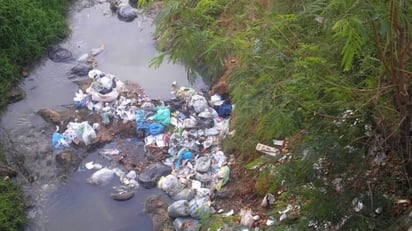 Imagen Urbana y Ecología pide no tirar basura en calles y cauces de PN