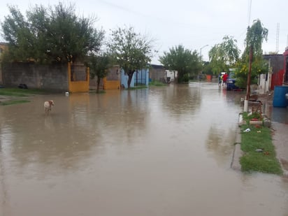 Lluvias provocan fuertes inundaciones en colonias de Piedras Negras