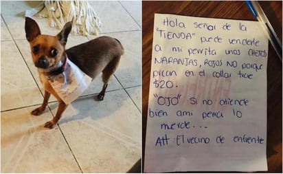 Para no salir de casa, joven manda a su perrita a la tienda por unos Cheetos