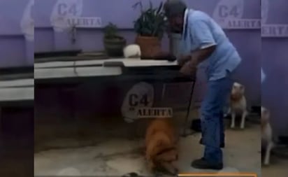 Captan a hombre golpeando con un palo a un perro encadenado