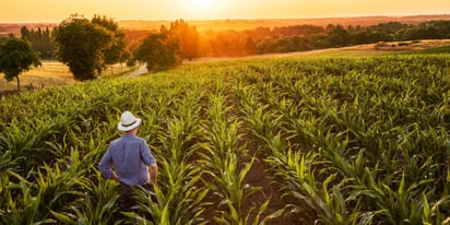 Las lluvias pasadas beneficiaron al campo