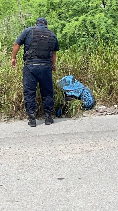 Perro ‘ensabanado’ moviliza a policías