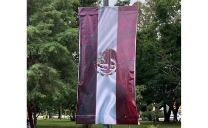 Otros países donde las reglas son más flexibles con el uso de la bandera nacional