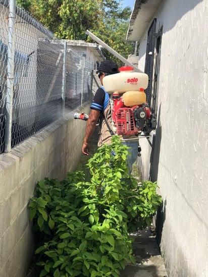 No hay casos de contagio del dengue en Piedras Negras