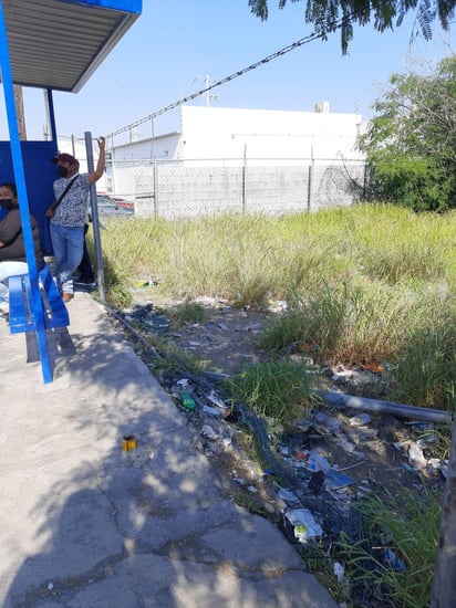 Baldío sobre la calle Carranza es causante de contaminación 