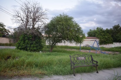 Plaza de la Obrera Sur 2o Sector llena de maleza crecida y alimañas