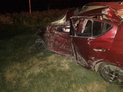 Hombre choca con una palmera y muere