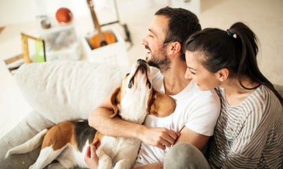 Salud: estos son los beneficios de tener una mascota para tu salud mental  