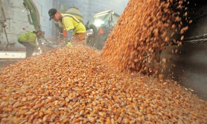 Guerra provoca la peor crisis alimentaria global 