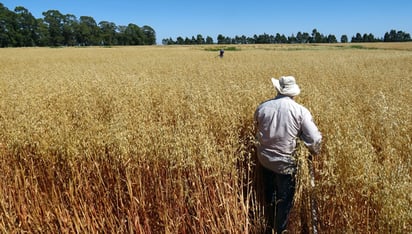 Natividad Navarro:  El campo necesita más apoyo