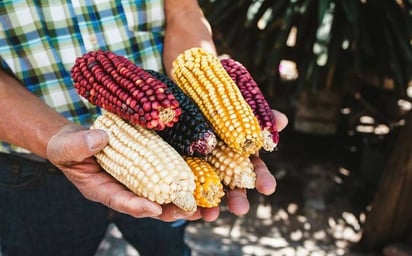 Agroproductores indican imposible enfrentar crisis sin mejoras al campo