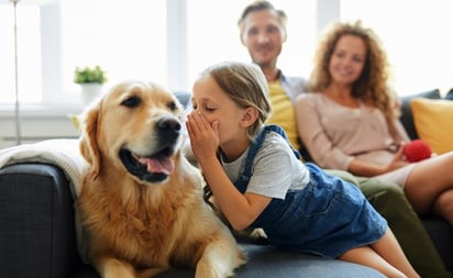 ¿Pueden los perros diferenciar idiomas y lenguajes? Esto dice la ciencia: Tu perro es más inteligente de lo que imaginabas, señala estudio