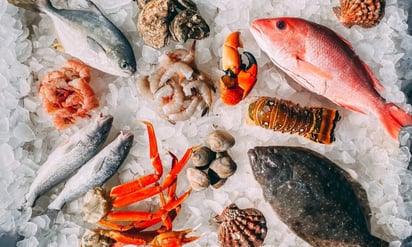 Comer mariscos en el embarazo no es tan malo, según estudio: Un estudio de la Universidad de Bristol, en Inglaterra, reveló que el pescado y los mariscos no contienen una cantidad considera