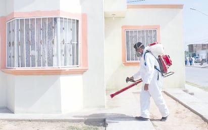 Las actividades de fumigación están por reanudarse en Monclova