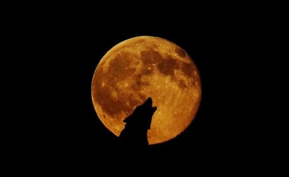 Luna llena del Cazador 2022, ¿por qué se llama así y cuándo verla?: La Luna llena de octubre le da la bienvenida a la temporada de sustos, dulces y trucos; aquí lo que debes saber