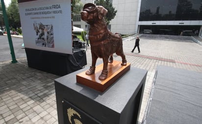 'Gracias Frida': develan escultura de perrita rescatista de la Secretaría de Marina: Frida colaboró con labores de rescate en el terremoto de Haití, la explosión de la Torre de Pemex en 2013, y los terremotos del 