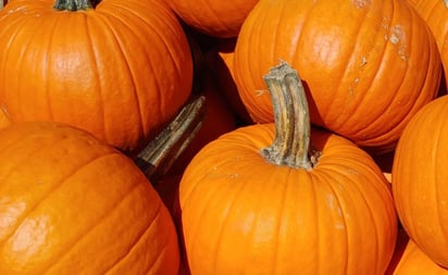 Enfermedades que puedes prevenir al comer calabaza de castilla