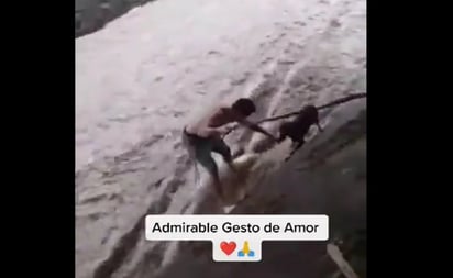 Boxeador arriesga su vida para salvar a un perro durante el ciclón Julia, en Nicaragua: El excampeón mundial Félix Alvarado “El Gemelo”, protagonizó el video previo a una nueva pelea donde participa por un nuevo títu